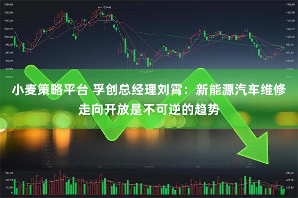 小麦策略平台 孚创总经理刘霄：新能源汽车维修走向开放是不可逆的趋势