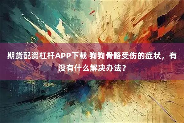 期货配资杠杆APP下载 狗狗骨骼受伤的症状，有没有什么解决办法？