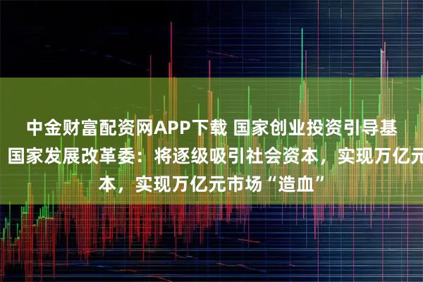 中金财富配资网APP下载 国家创业投资引导基金正式启动！国家发展改革委：将逐级吸引社会资本，实现万亿元市场“造血”