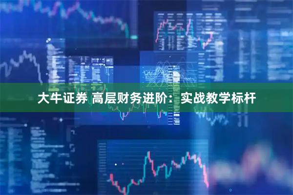 大牛证券 高层财务进阶：实战教学标杆